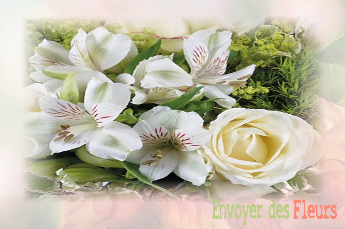 envoyer des fleurs à à SAINT-VAAST-LES-MELLO